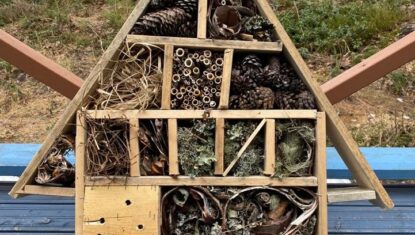 Insect hotel